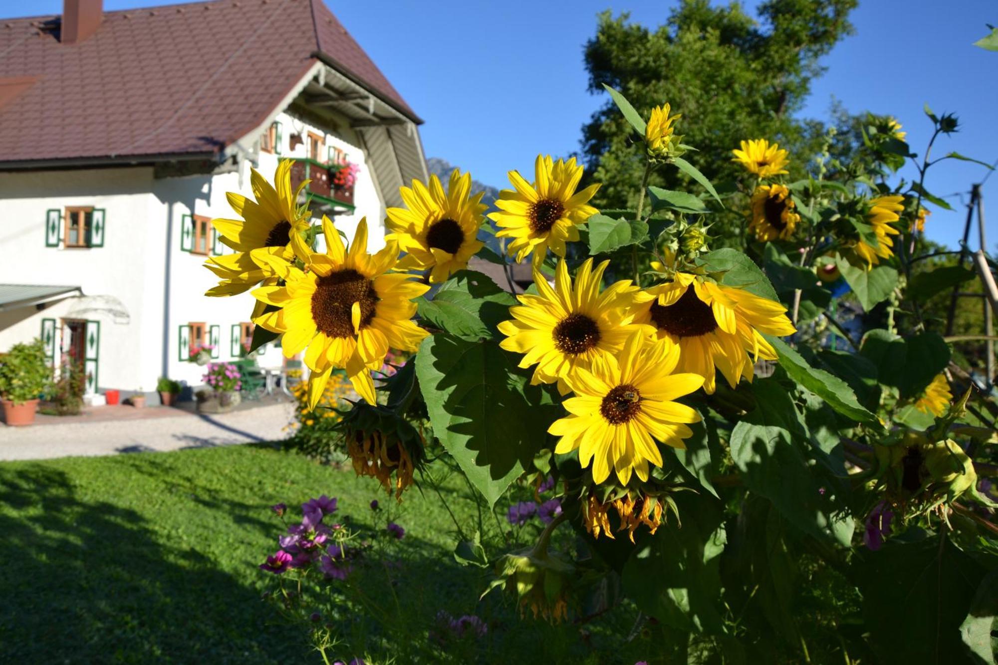 Kerschbaumergut Apartment Grossgmain